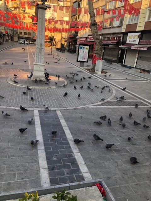 Eyüp Meydanı ve Yakın Çevre Yolları Düzenleme İnşaatı